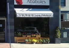 Ababoles flores y plantas