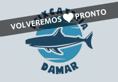 Pescadería Damar