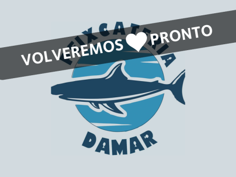 Pescadería Damar