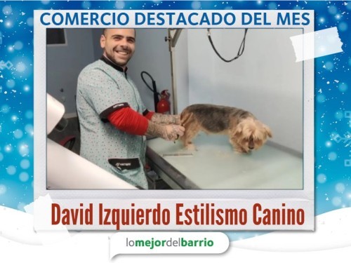 David Izquierdo Estilismo Canino 