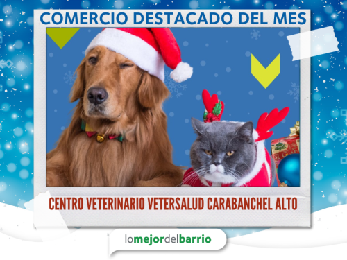 Centro Veterinario Vetersalud Carabanchel Alto