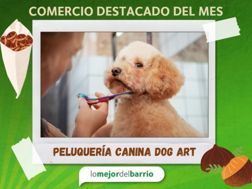 Peluquería Canina DOG ART