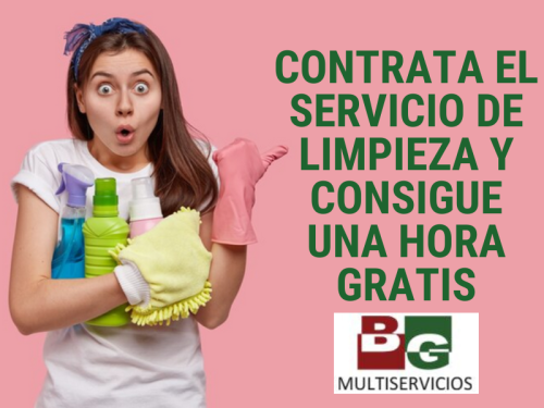 Multiservicios BG