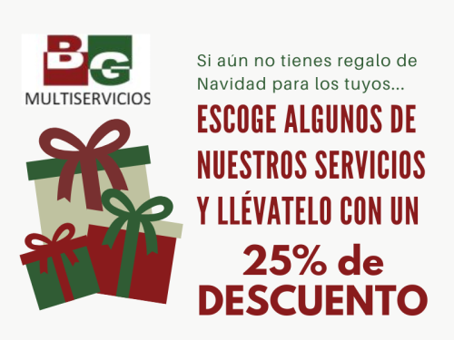 Multiservicios BG